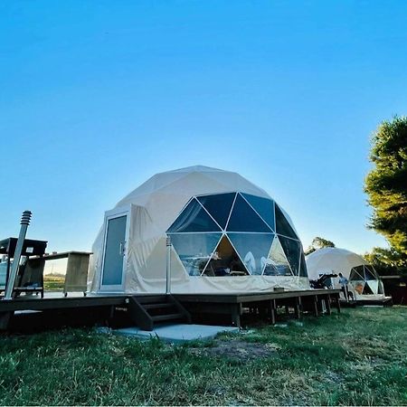 Hillview Farmstay Gundagai Exteriör bild