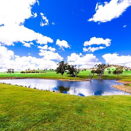 Hillview Farmstay Gundagai Exteriör bild