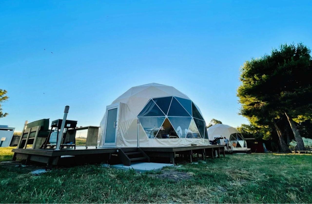 Hillview Farmstay Gundagai Exteriör bild