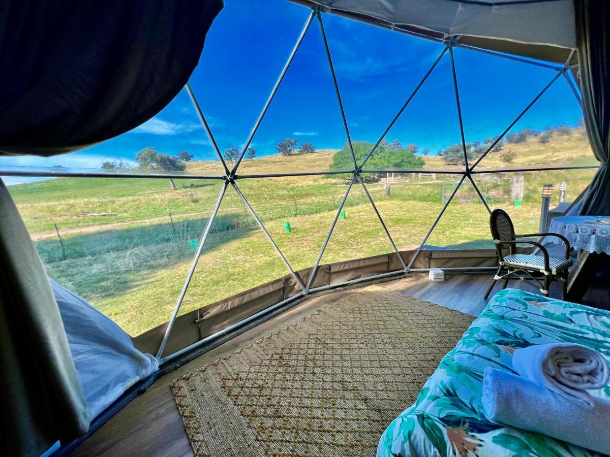Hillview Farmstay Gundagai Exteriör bild