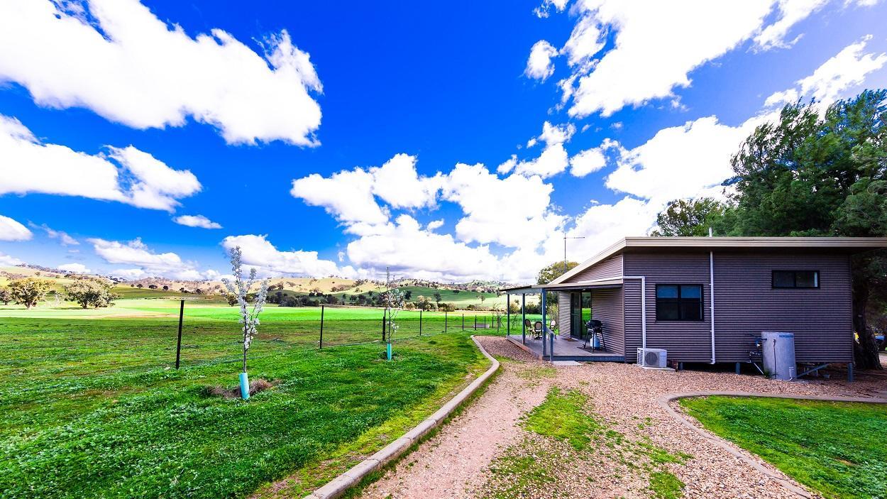 Hillview Farmstay Gundagai Exteriör bild