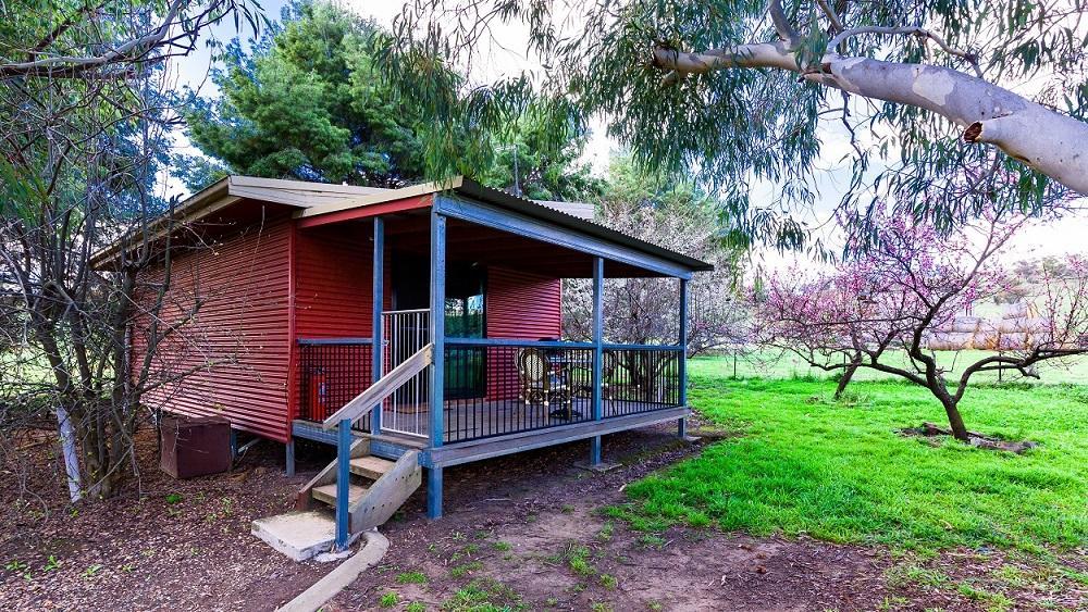 Hillview Farmstay Gundagai Exteriör bild