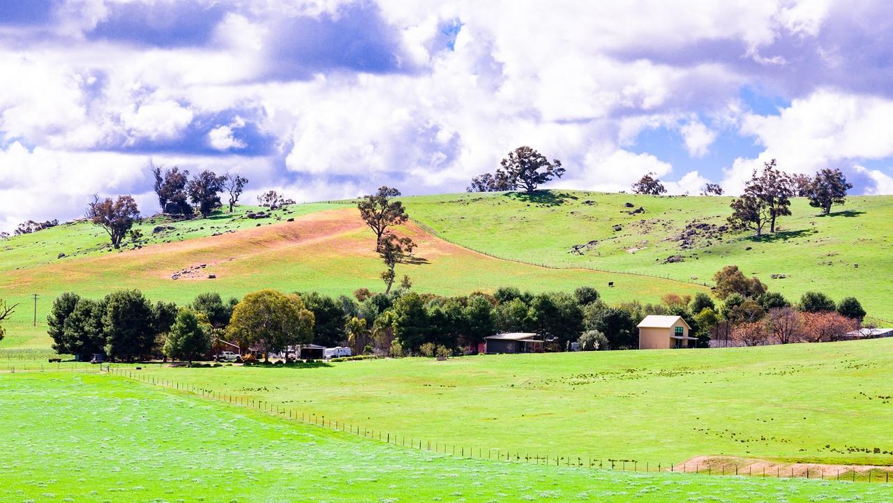 Hillview Farmstay Gundagai Exteriör bild