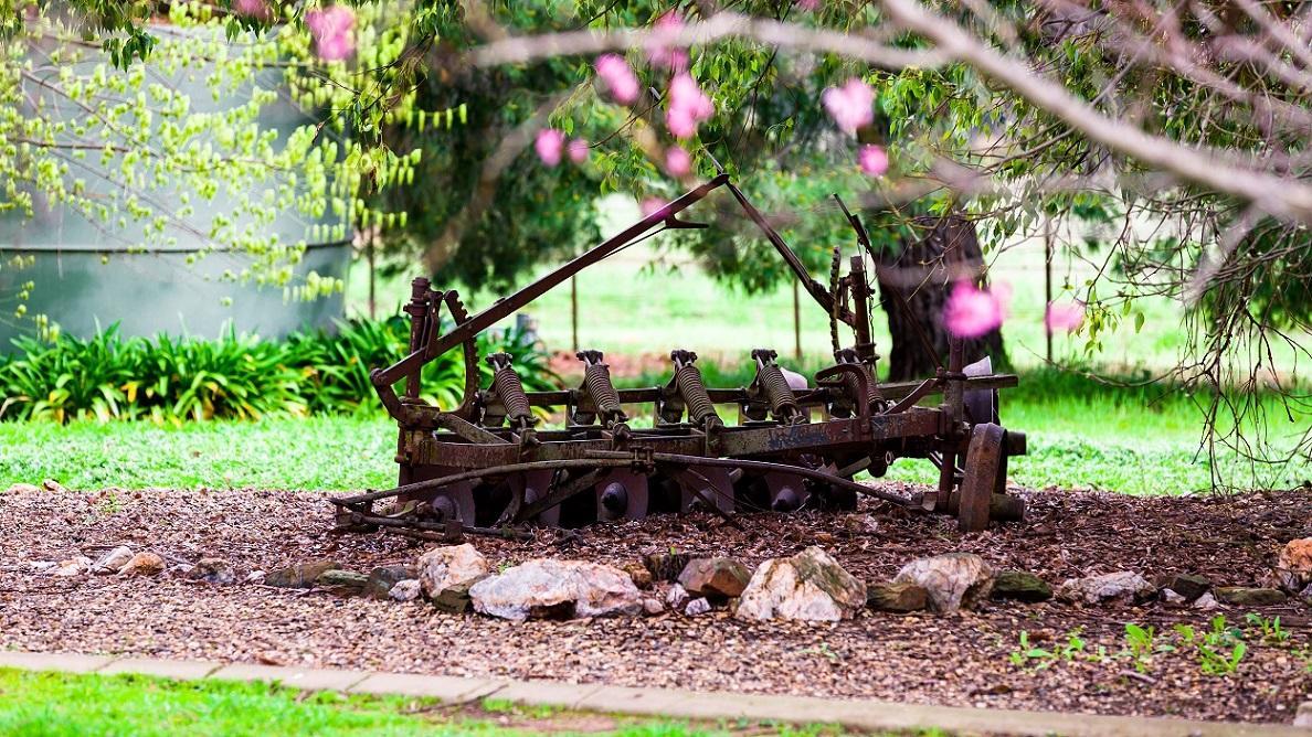 Hillview Farmstay Gundagai Exteriör bild