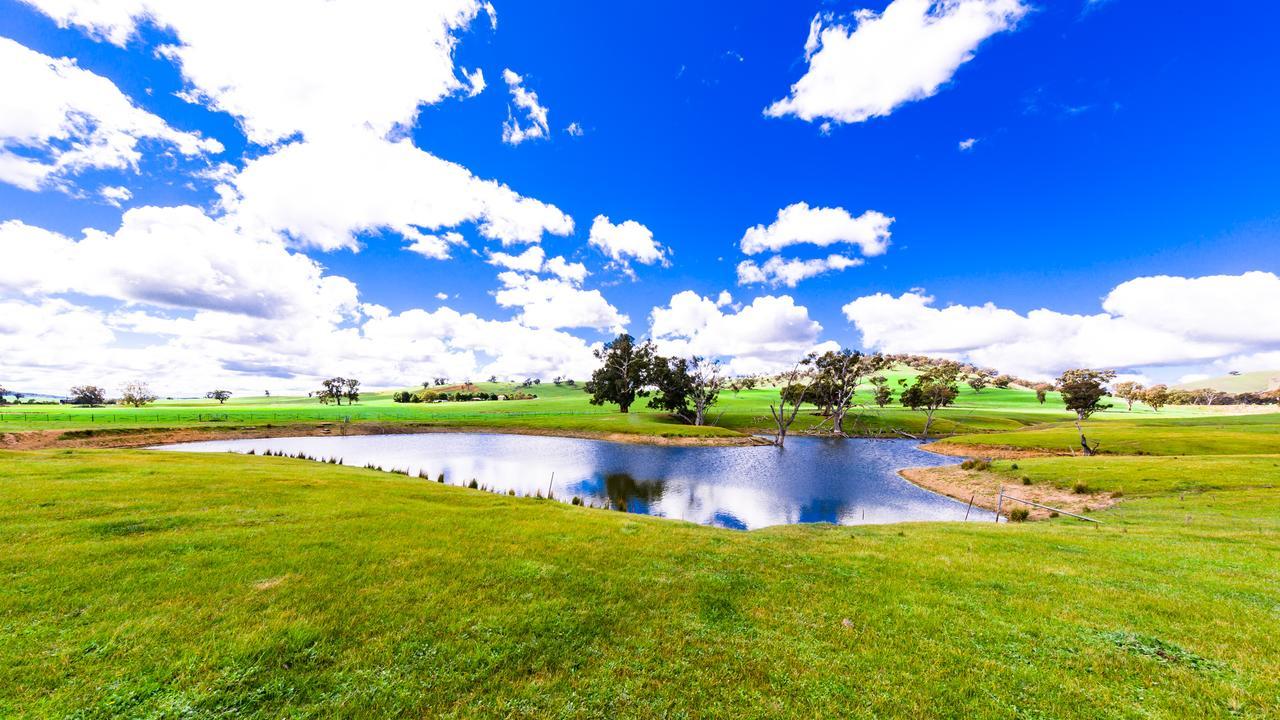 Hillview Farmstay Gundagai Exteriör bild