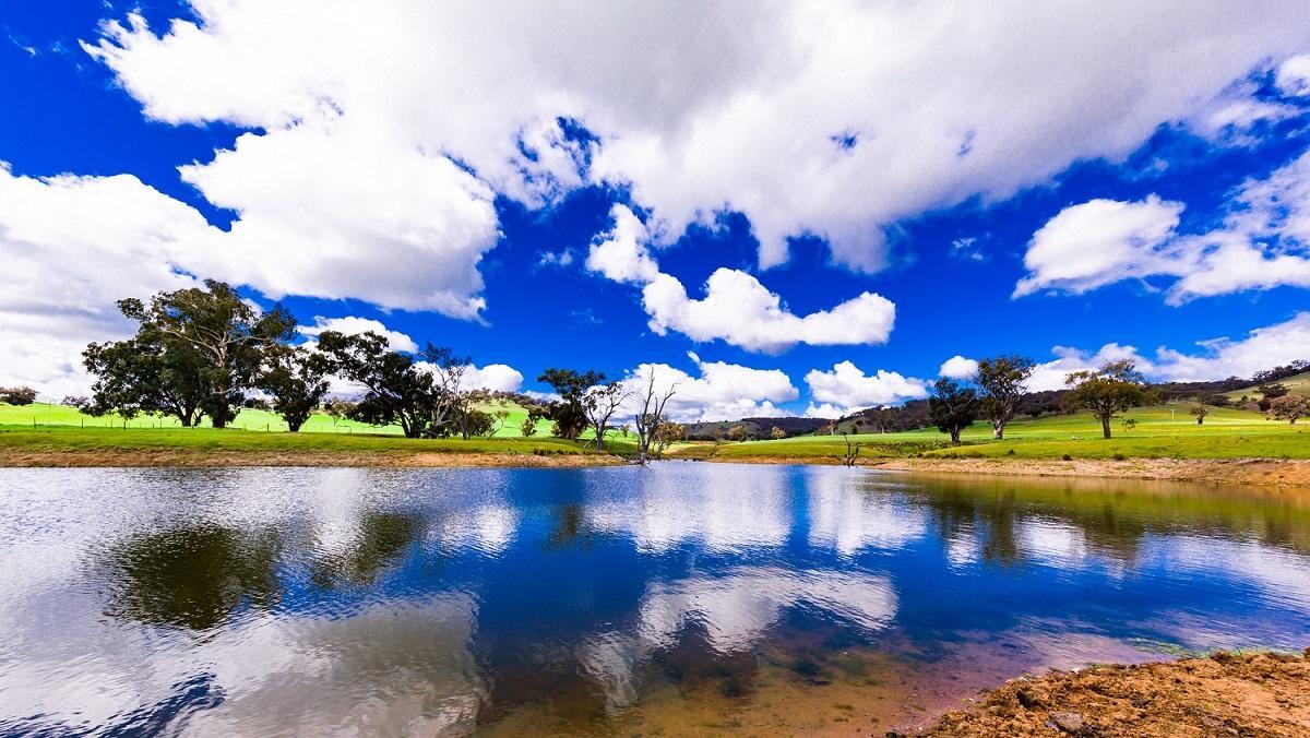 Hillview Farmstay Gundagai Exteriör bild