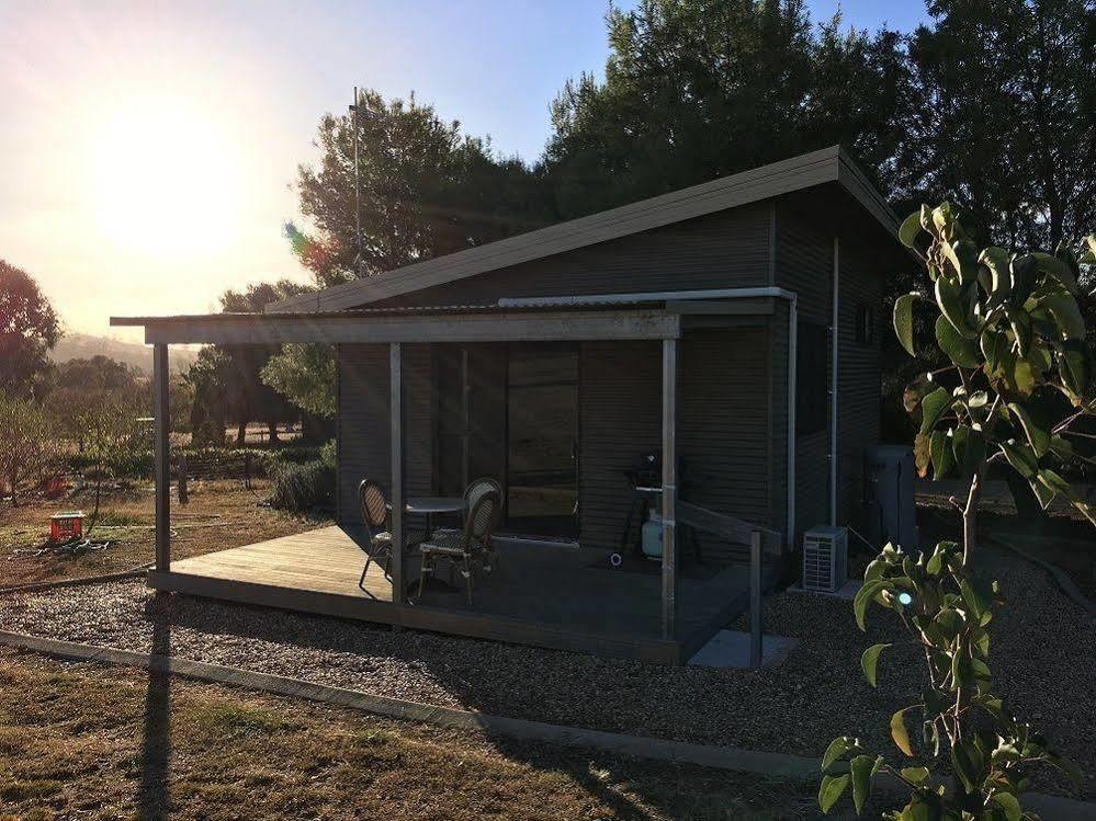 Hillview Farmstay Gundagai Exteriör bild