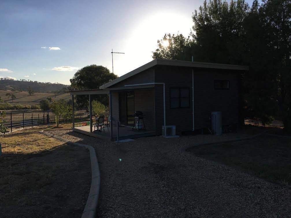 Hillview Farmstay Gundagai Exteriör bild