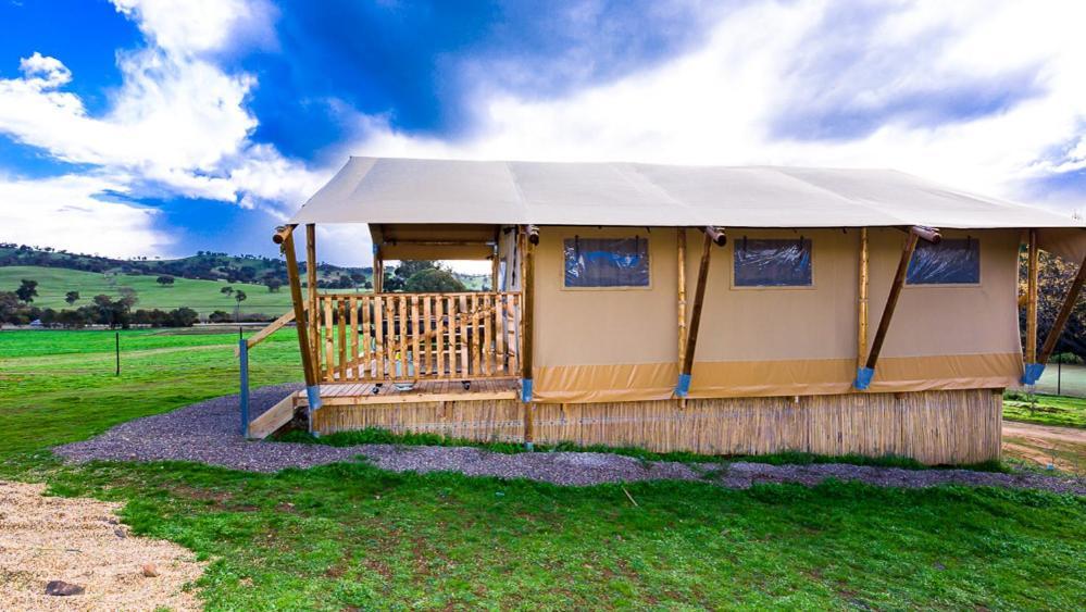 Hillview Farmstay Gundagai Exteriör bild