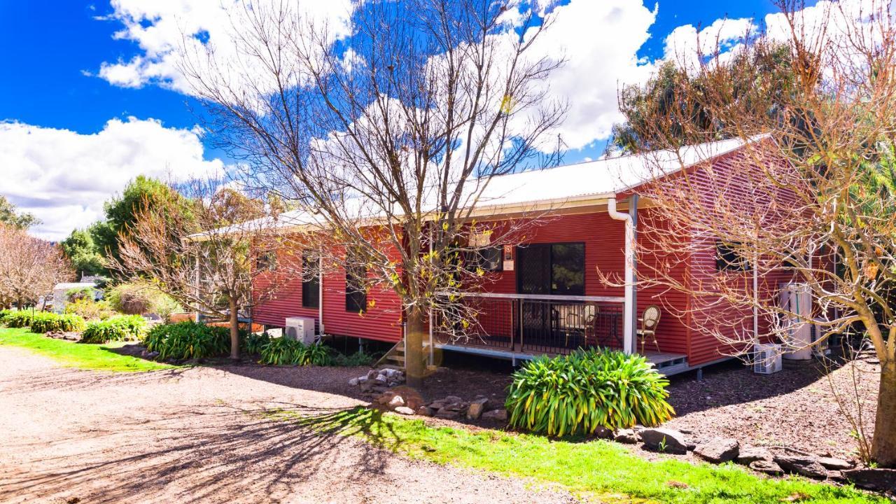 Hillview Farmstay Gundagai Exteriör bild