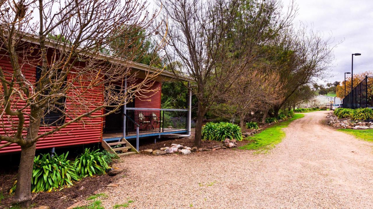 Hillview Farmstay Gundagai Exteriör bild